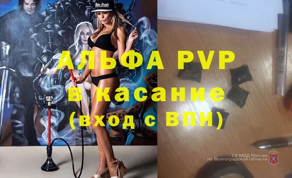 шишки Нягань