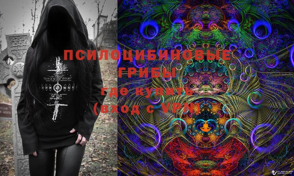 ECSTASY Видное